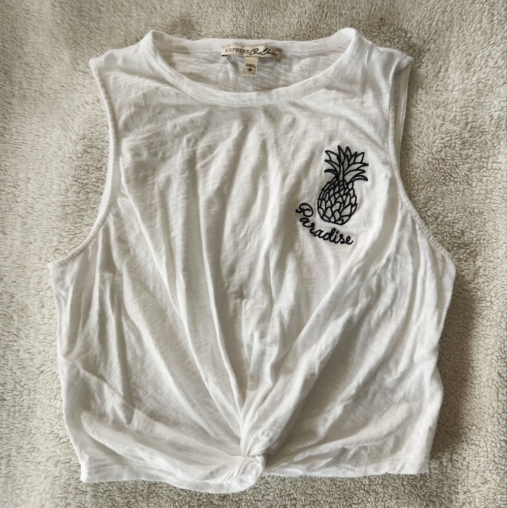 Express Crop Pineapple top small